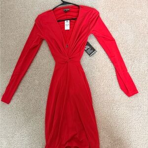 Express Long Sleeve Dress